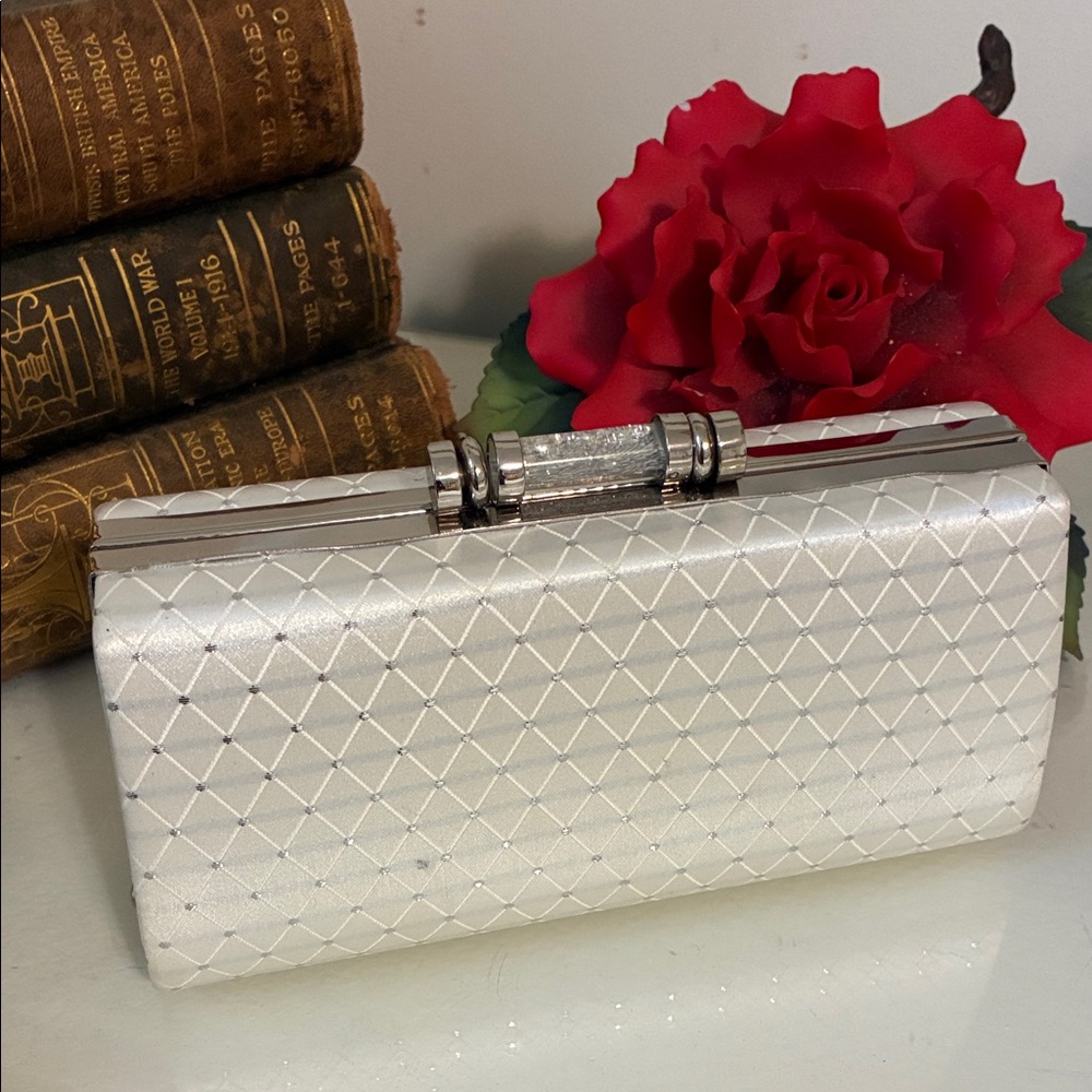 Elegant Silver Clutch NWOT